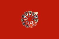 黎川回收红酒